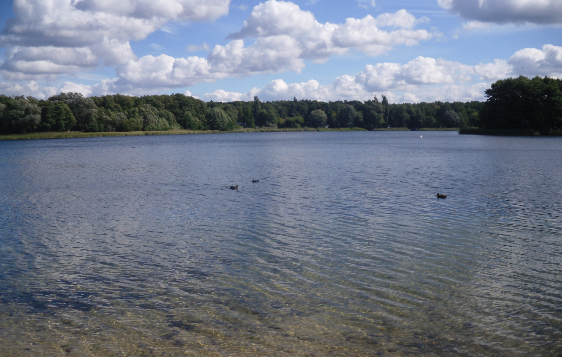 GroßGlienickerSee